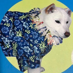 Boots & Barkley Canine Hawaiian Cotton Shirt with Lei Collar S